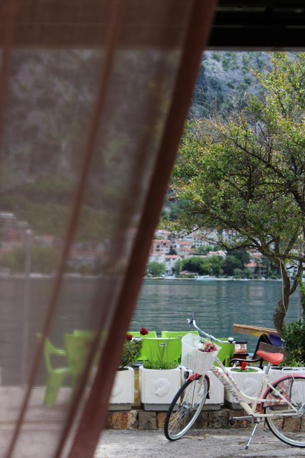 Mare E Montagna Apartment Kotor Ngoại thất bức ảnh