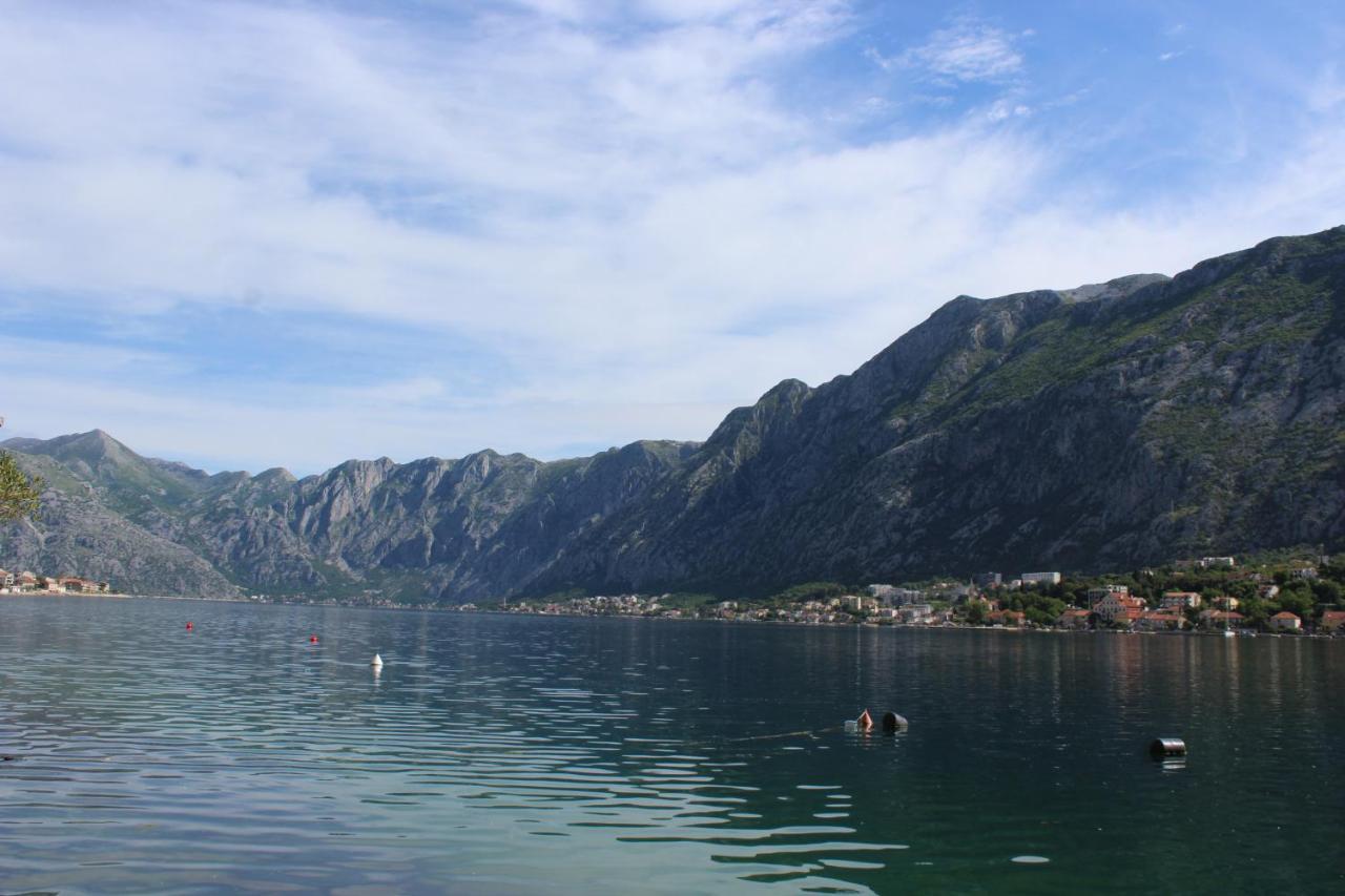 Mare E Montagna Apartment Kotor Ngoại thất bức ảnh