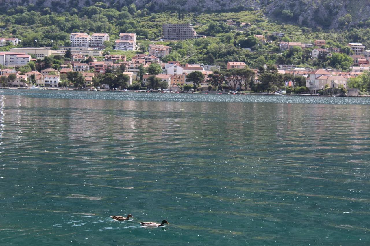Mare E Montagna Apartment Kotor Ngoại thất bức ảnh